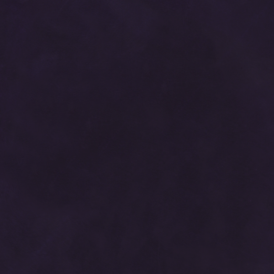 Crazy Horse - Purple