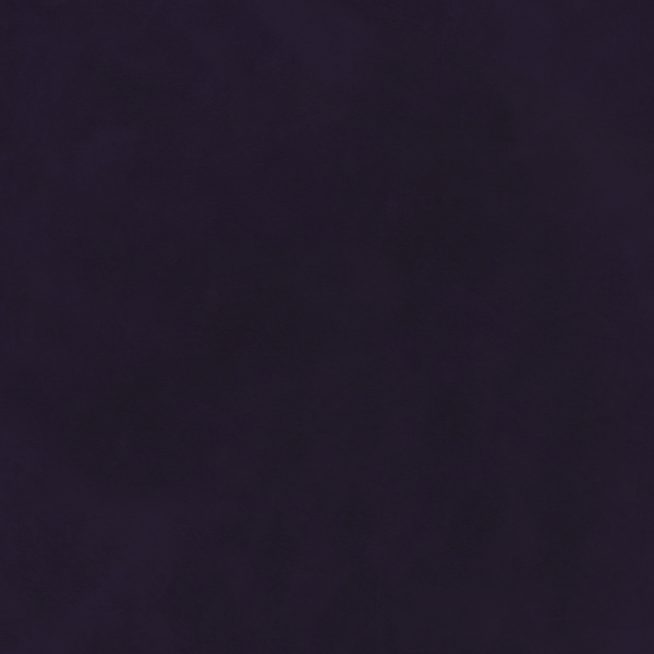 Crazy Horse - Purple