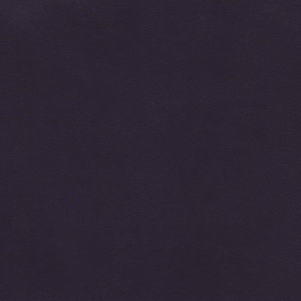 Galaxy Violet