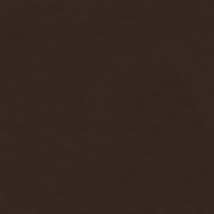 Galaxy Tan Leather
