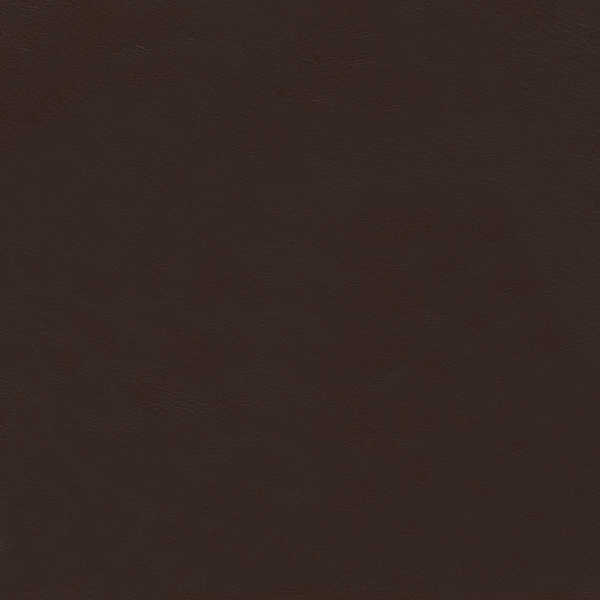 Galaxy Tan Leather