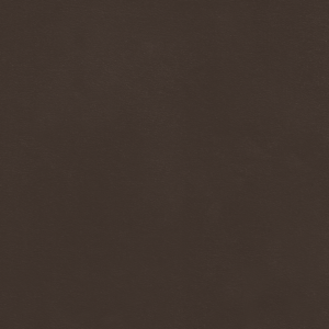 Galaxy Taupe
